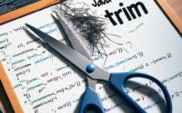 java_string_trim_scissors