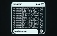 Linux terminal showing the installation of uname a command for displaying system information
