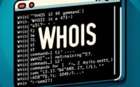 Linux terminal showing the installation of whois a command for querying domain and IP address information