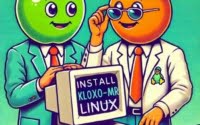 Technicians installing Kloxo-MR performing practical server management hosting tests